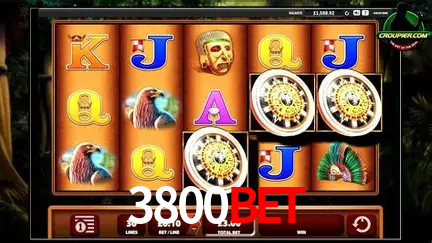 Cassino ao vivo com dealers reais na 3800Bet